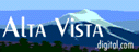 [ALTA VISTA] 